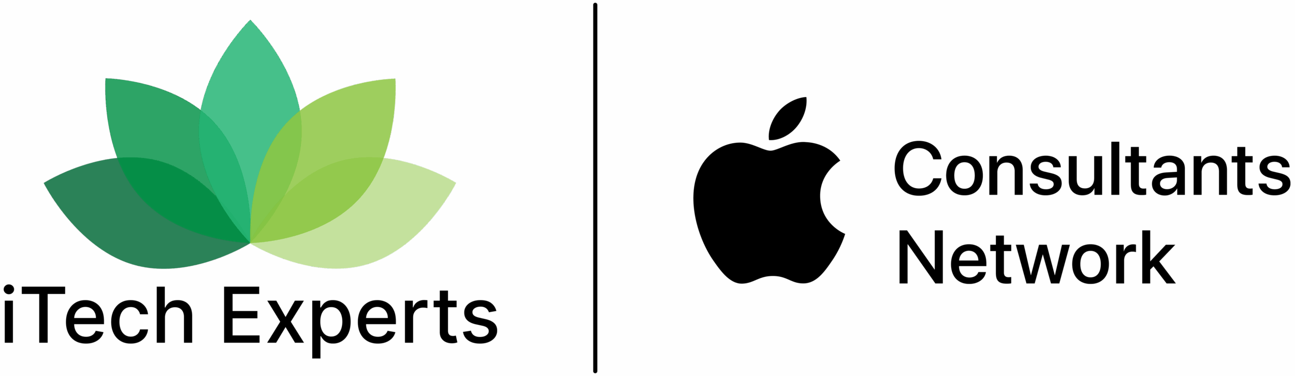 iTech Experts Logo-ACN_BLK_SMALL copy